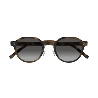 Dunhill Du0113s-004havana-havana-smoke In Brown