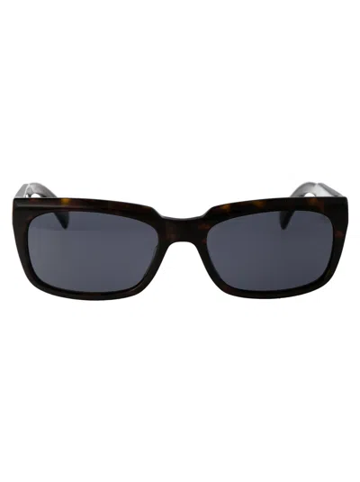Dunhill Havana Acetate Sunglasses