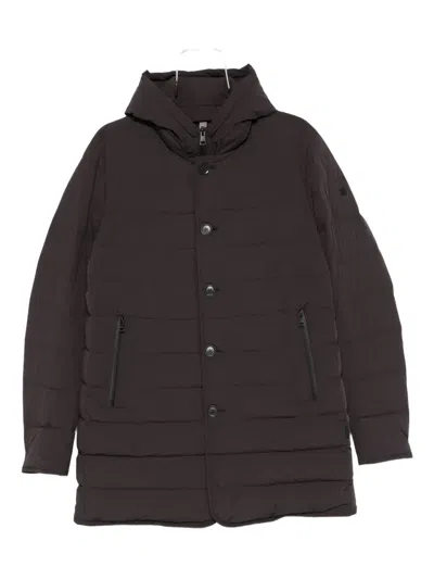 Duno Button Hooded Jacket In Black