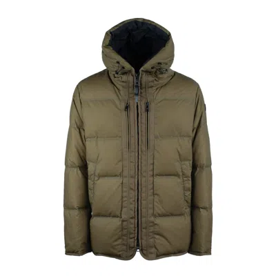 Duno Greenish Quilt In Cotton Fabric In Brown