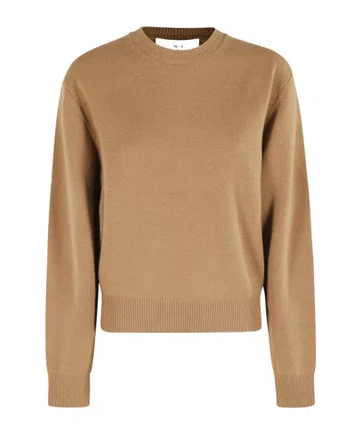 Dunst Unisex Cashmere Crewneck Sweater In Brown