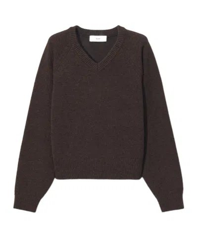 Dunst V-neck Wool Sweater In Brown