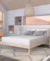 Dusk & Dawn 10" Medium Mattress- Queen