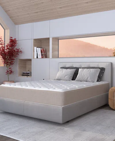 Dusk & Dawn 12" Medium Plush Mattress- King
