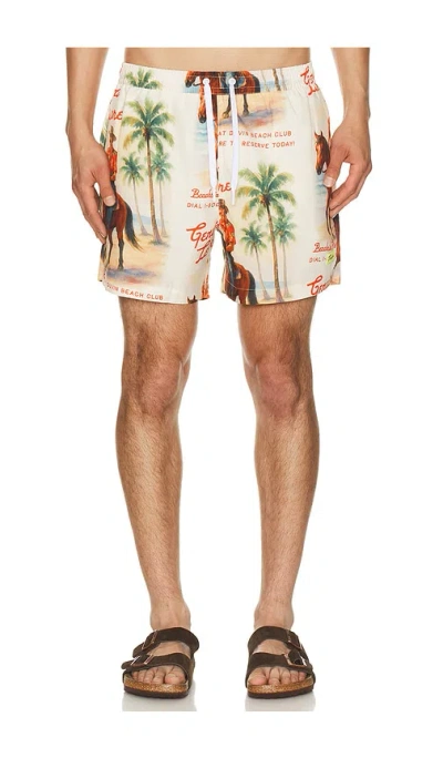 Duvin Design Beach Ranch Swim Shorts In Antique
