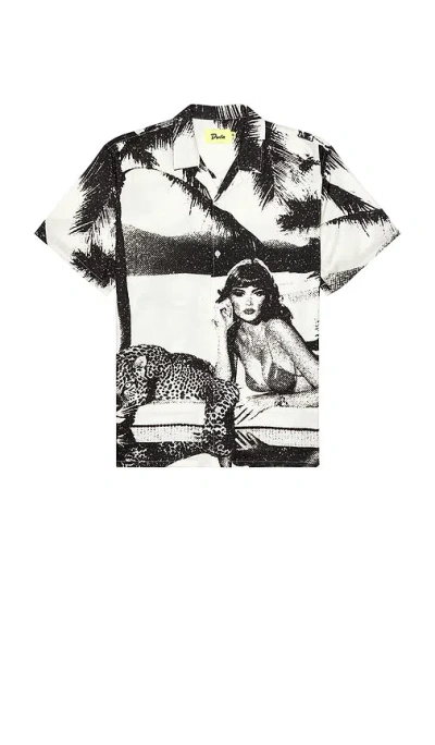 Duvin Design Pool Cat Buttonup Shirt In Black