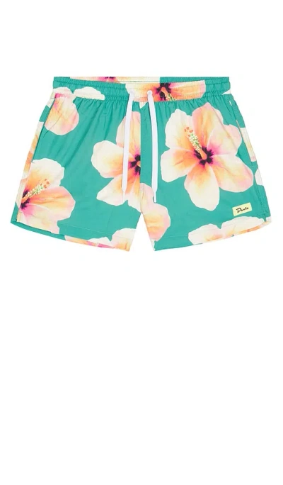 Duvin Design Bloom Swim Shorts In Green