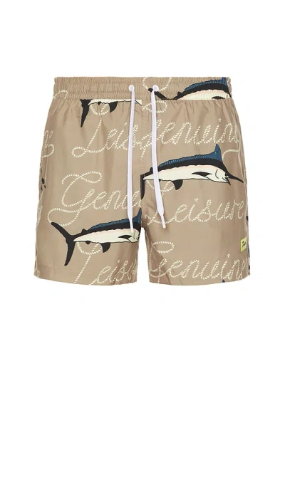 Duvin Design Dolphin Leisure Swim Shorts