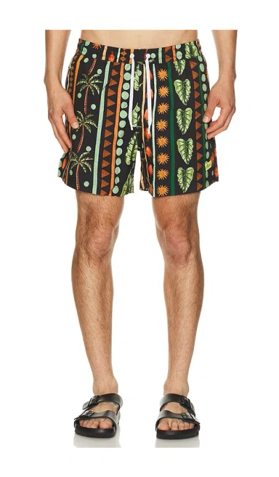 Duvin Design Jungle Swim Shorts In Multi