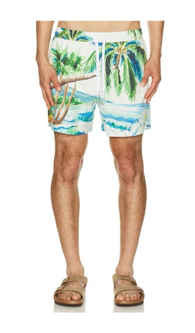 Duvin Design Postcard Swim Shorts In Multi