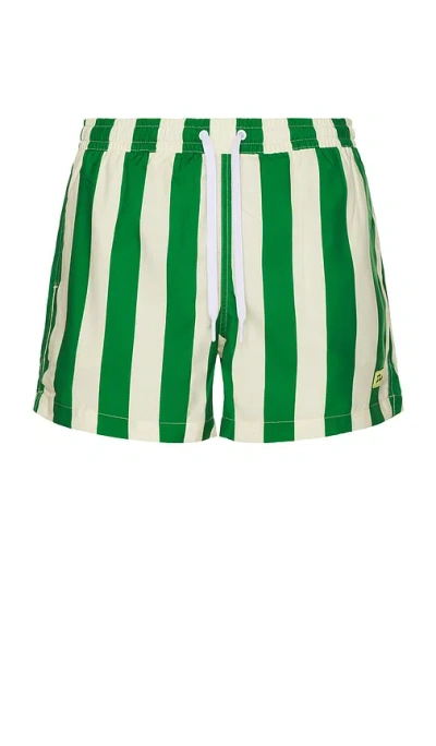 Duvin Design Traveler Swim Shorts In Green