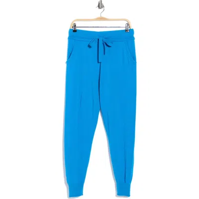 Dvf Delano Wool & Cashmere Joggers In Blue