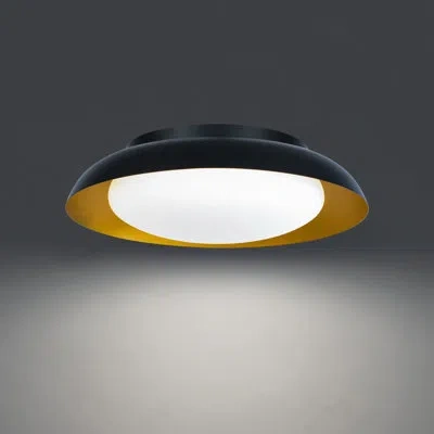 Dweled 1-light 17.875" Led Flush Mount In Black,gold