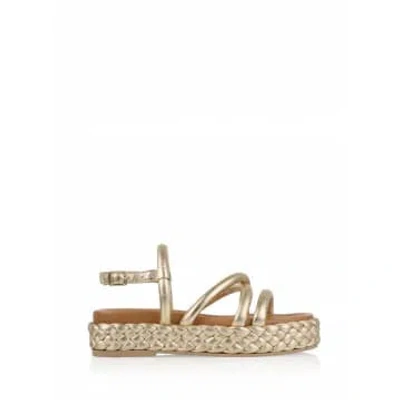 Dwrs Cyprus Sandals In Gold