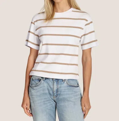 Dylan Cove Stripe Tee In White/brown In Multi