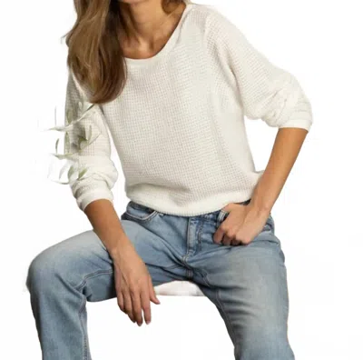 Dylan Covet Crochet Top In White