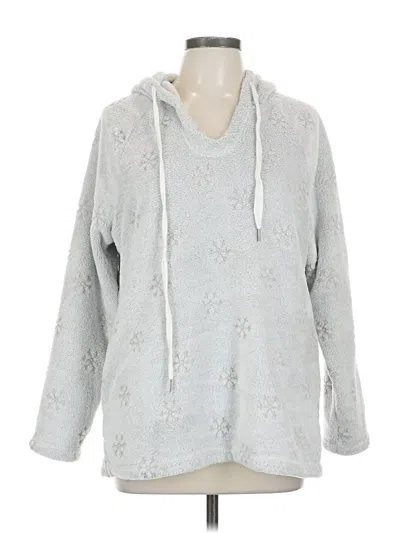 Pre-owned Dylan Pullover Sweater In Silver