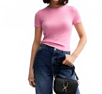Dylan Rowan Rib Crew Neck Tee In Light Pink