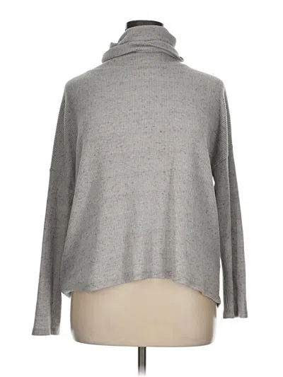 Pre-owned Dylan Turtleneck Sweater In Gray