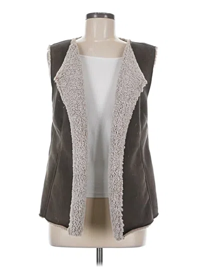 Pre-owned Dylan Vest In Gray