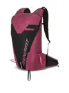 Dynafit Rucksack Mit Logo-detail In Multi
