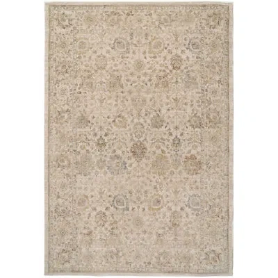 Dynamic Rugs Bloomfield 7.10x10 19606-891 Beige/grey/cream In Neutral