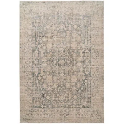 Dynamic Rugs Bloomfield 9x12.10 19603-910 Grey/cream In Gray;cream