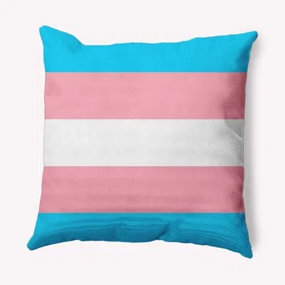 E By Design Aromantic Flag Decorative Throw Pillow In Pink