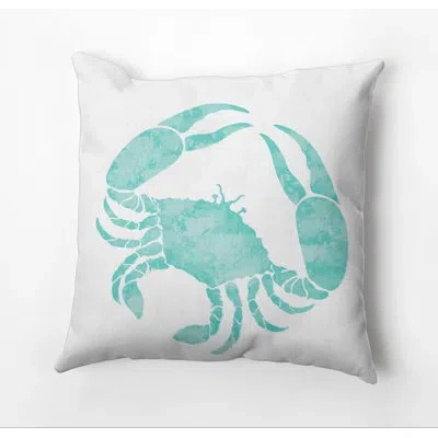 E By Design Beach Vacation Outdoor Square Pillow Cover & Insert In Aqua