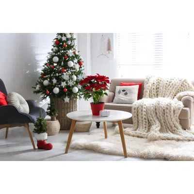 E By Design Holiday Cheer In Steel