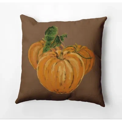 E By Design Outdoor Pillow Cover & Insert In Brown