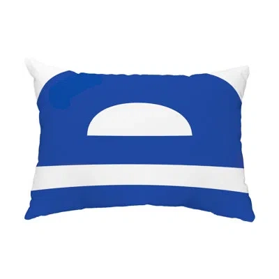 E By Design Outdoor Rectangular Pillow Cover & Insert In Blue
