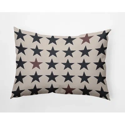 E By Design Polyester Lumbar Rectangular Indoor/outdoor Pillow Cover & Insert
