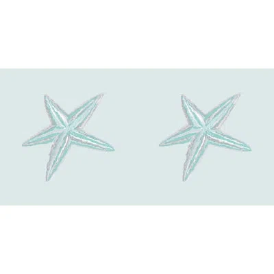 E By Design Sea Star Outdoor Rectangular Pillow Cover And Insert In Aqua