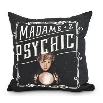 E By Design Witches Brew Square Outdoor Pillow In Blue,cream