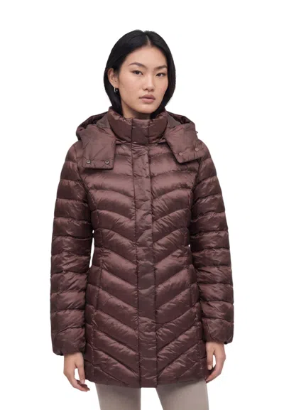 Ea7 Brown Quilted Hood Jacket
