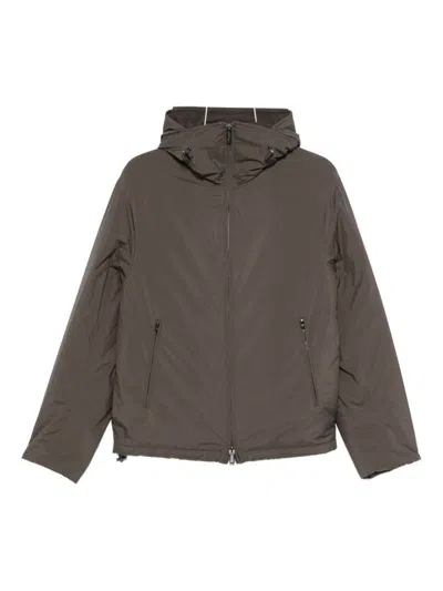 Ea7 Emporio Armani Nylon Blouson Jacket In Gray
