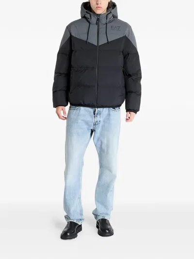Ea7 Padded Hooded Jacket In Multi