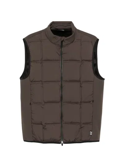 Ea7 Quilted High-neck Gilet In Brown