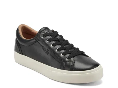 Earth Dailey Sneaker In Black