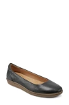 Earth Landen Flat In Black