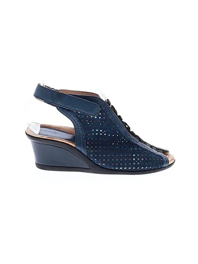 Pre-owned Earth Wedges In Blue
