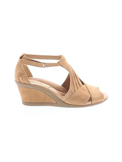 Pre-owned Earth Wedges In Brown