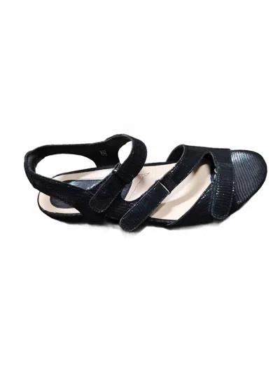 Earth Women's Nova Sandal In Black