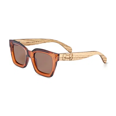 Earth Wood Antalya Polarized Sunglasses In Brown