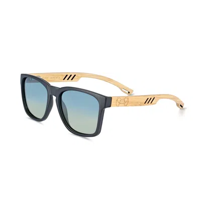 Earth Wood Haven Polarized Sunglasses In Multi