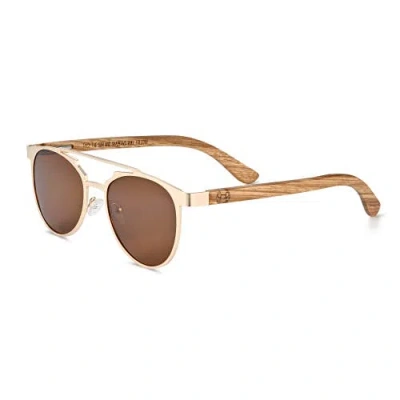 Earth Wood Kotor Polarized Sunglasses In Brown