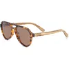 Earth Wood Mazatlan Polarized Sunglasses In Brown