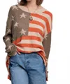 Easel American Flag Sweater In Mocha Star
