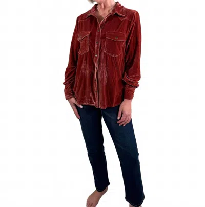 Easel Button Down Velvet Shirt In Hibiscus In Pink